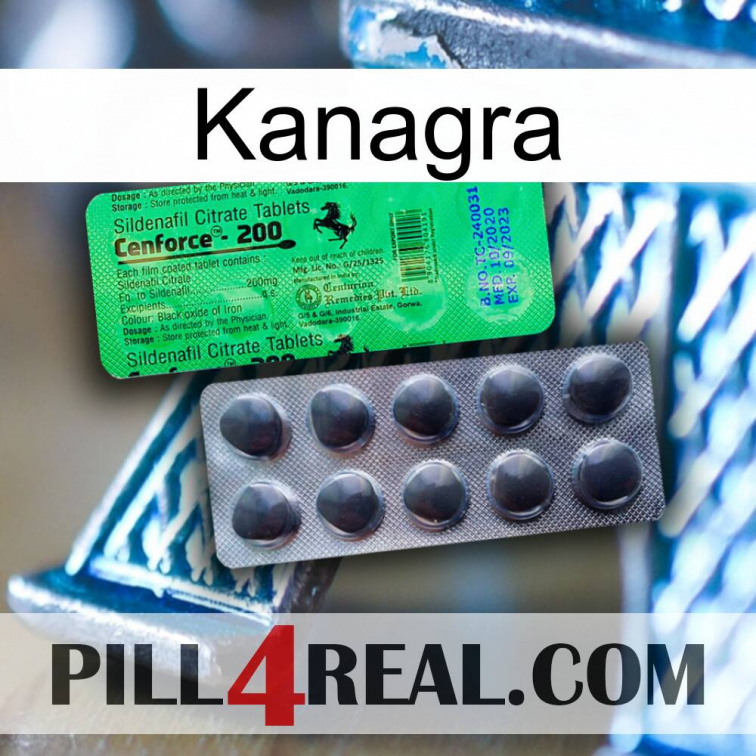 Kanagra new04